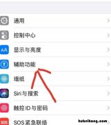 苹果手机盲人模式怎么开启 苹果手机哪里开启盲人模式