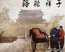 《骆驼祥子》人物特点介绍 骆驼祥子,人物特点