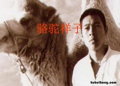 《骆驼祥子》第10章概括是什么呢英语 《骆驼祥子》第10章概括是什么呢怎么写
