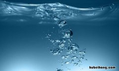 养鱼水发浑怎么处理 鱼缸的水刚换两天就浑浊什么原因