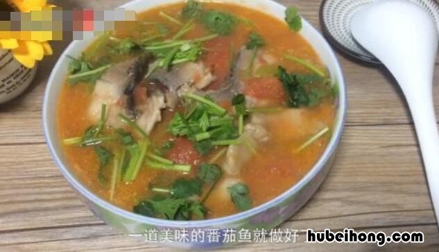 番茄煮鱼的做法 番茄煮鱼的做法 最正宗的做法窍门