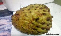 番荔枝的功效与作用 释迦果的正确吃法图解