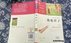 骆驼祥子第十四章内容概述 骆驼祥子第十四篇概括
