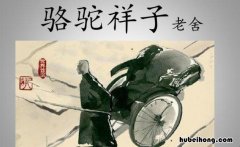 《骆驼祥子》第四章精美词语有哪些句子 《骆驼祥子》第四章优美词语