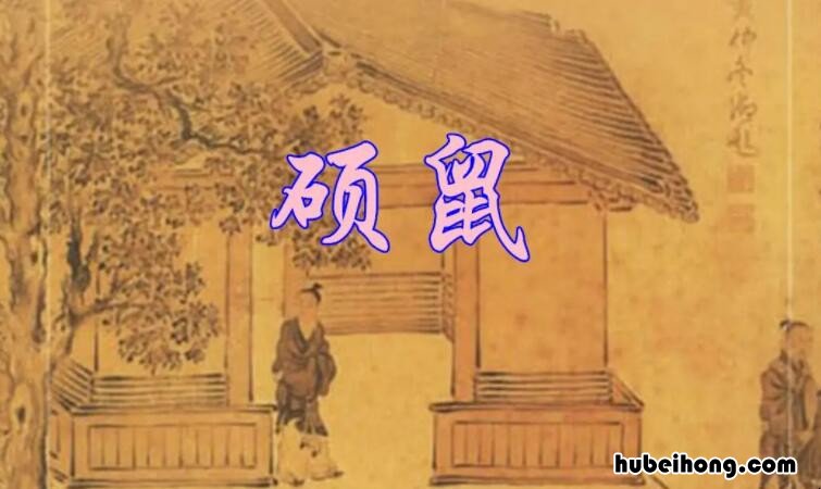 魏风·硕鼠注音版 诗经国风魏风硕鼠注音