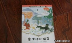 魔法师的帽子的读后感200 魔法师的帽子读后感200字
