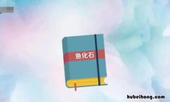 《鱼化石》表达了作者怎样的感情呢 《鱼化石》表达了作者怎样的感情和情感