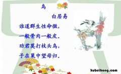 杀死一只知更鸟含义 杀死一只知更鸟最后什么意思
