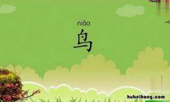 鸟原文及翻译 鸟译文及注释