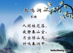 《鸟鸣涧 》 鸟鸣涧诗歌鉴赏答案