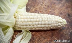 白玉米跟黄玉米有什么区别 白玉米和黄玉米哪种好