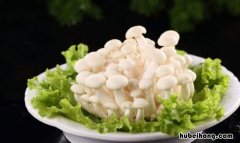 白玉菇做汤放什么好 白玉菇做汤放什么调料