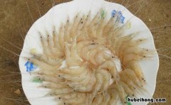 白米虾是海鲜还是河鲜 白米虾是海虾吗