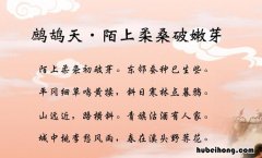 鹧鸪天陌上柔桑破嫩芽注释 鹧鸪天陌上柔桑破嫩芽抒情手法