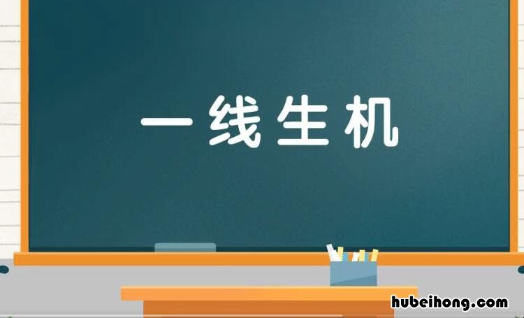 一生机 一什么生什么成语有哪些