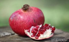 红心番石榴性味归经功效 红心番石榴美食做法大全