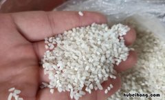 碎米一般怎么食用 碎米可以吃吗