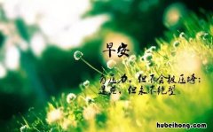 一句话的早安语 一句话的简单早安问候语说说