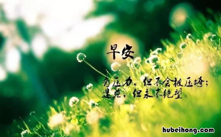 一句话的早安语 一句话的简单早安问候语说说