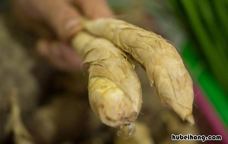 竹薯粉食用方法有哪些呢图片 竹薯粉食用方法有哪些呢视频