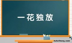 一花独放的下一句是什么 一花独放猜一生肖