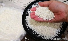 糯米是什么米,一般分几种 糯米是什么米图片及价格