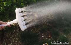 浇菜什么时候浇比较好一点 浇菜什么时候最合适