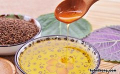 紫苏籽油怎么使用 紫苏子油怎么吃?