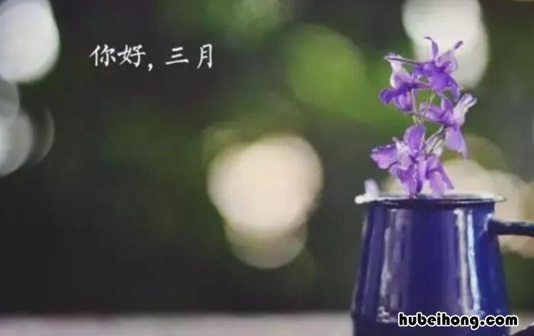 三月你好的唯美文案 三月你好的句子怎么说