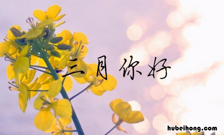 三月心情好的句子 三月心语说说