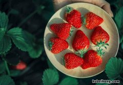 清洗草莓有什么小妙招视频 清洗草莓的办法