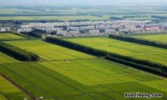 三江平原的气候类型及原因 三江平原的气候类型气候特征