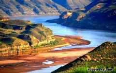 三秦大地指的是什么动物生肖 三秦大地指的是什么动物呢