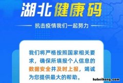 湖北健康码忘记打卡怎么办啊 湖北健康码忘记打卡怎么办理