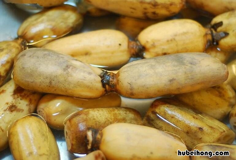 湖藕和菜藕哪个脆脆的 湖藕和菜藕哪个脆一点