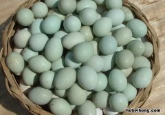 绿皮鸡蛋与普通的有什么区别 绿皮鸡蛋更有营养吗