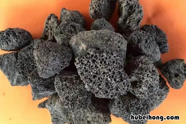 鹦鹉鸟吃火山石有什么作用 鹦鹉吃火山石有什么作用