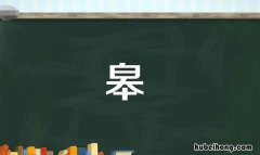 上面一个白下面一个本读什么字啊 上面一个白底下一个本是什么字