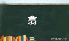 上面一个合下面一个羽读什么字 上面一个合下面一个羽读什么