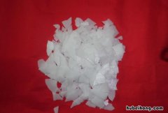 火碱水可以让树木死掉吗 火碱浇树大概多少天见效