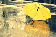 下雨的优美句子摘抄 下雨的唯美段落