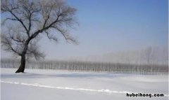 下雪发盆友圈的句子 下雪发朋友圈短句幽默简短