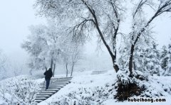 下雪唯美好句摘抄有哪些句子 下雪唯美好句摘抄有哪些呢