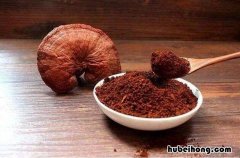 灵芝孢子粉怎么保存