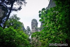 雁荡山是哪里 雁荡山是哪儿