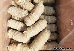 肠衣是做什么的 肠衣的分类及使用方法