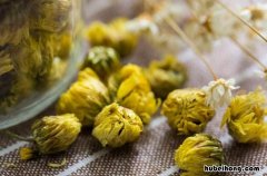 胎菊和贡菊有什么不一样的功效 胎菊和贡菊的功效区别