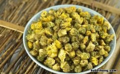 胎菊茶对人体有什么好处 胎菊茶泡水喝的功效