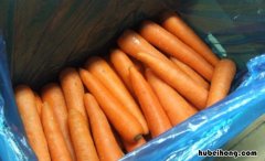 两根胡萝卜的热量是多少 50克胡萝卜的热量是多少