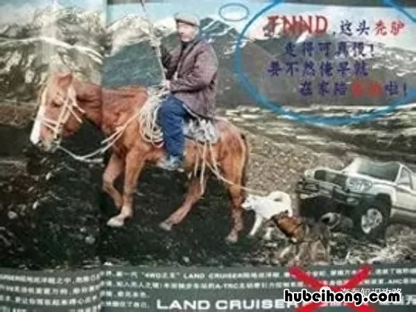霸道为何改名普拉多 你真的知道吗 霸道为什么改名字叫普拉多